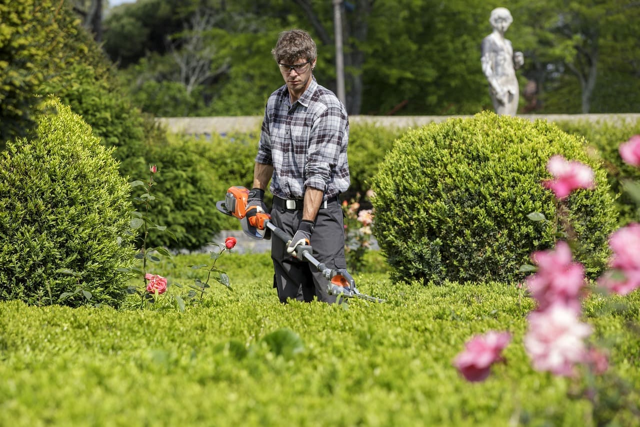 Jardinería